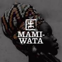 Restaurant Cuisine Africaine située en plein cœur du centre-ville à Toulouse 31000 MAMI WATA