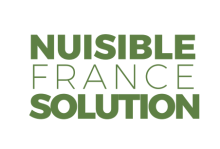 dératisation et désinsectisation Toulouse